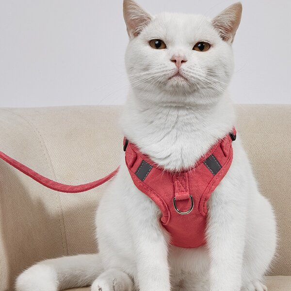 

1pc Plain Pet Harness & 1pc Pet Leash, Multicolor