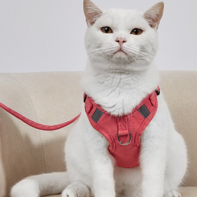 

1pc Plain Pet Harness & 1pc Pet Leash, Multicolor