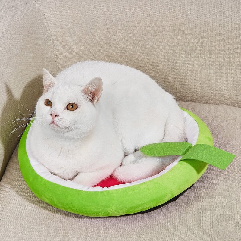 

Watermelon Pattern Pet Bed, Multicolor