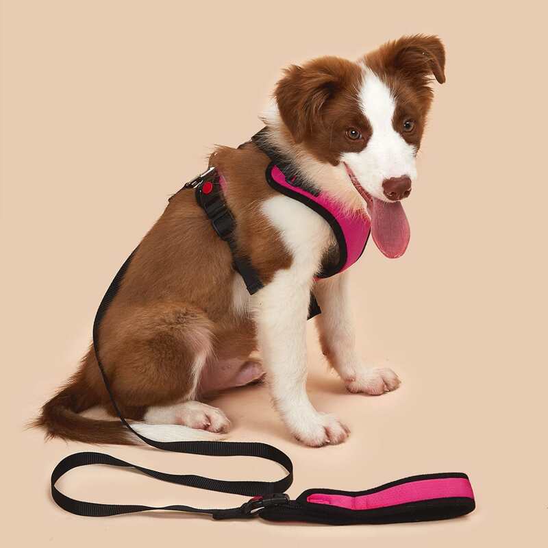 

1pc Plain Pet Leash & 1pc Pet Harness, Hot pink