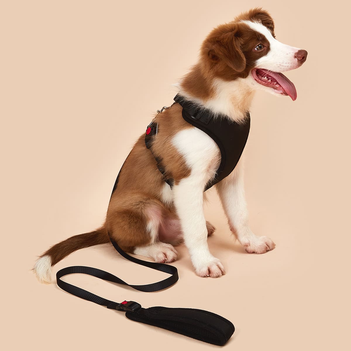 

1pc Plain Pet Leash & 1pc Pet Harness, Black