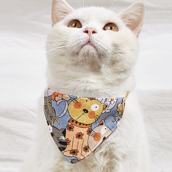 

Cartoon Graphic Pet Triangle Bib, Multicolor