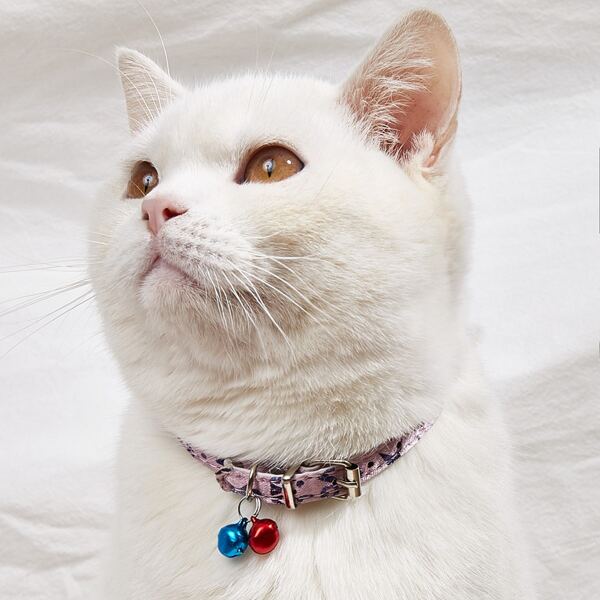 

Bell Pendant Pet Collar, Dusty pink