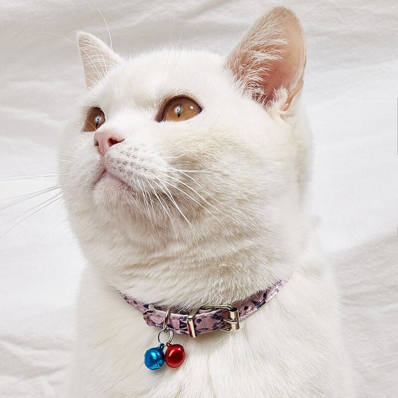 

Bell Pendant Pet Collar, Dusty pink