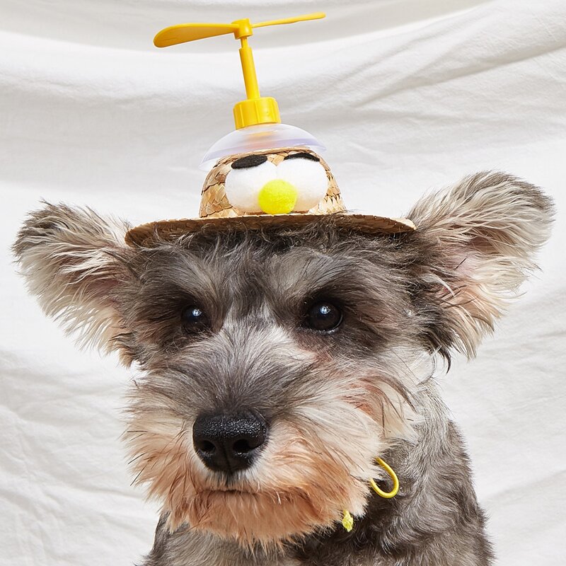 

Eye Detail Propeller Pet Headwear, Yellow