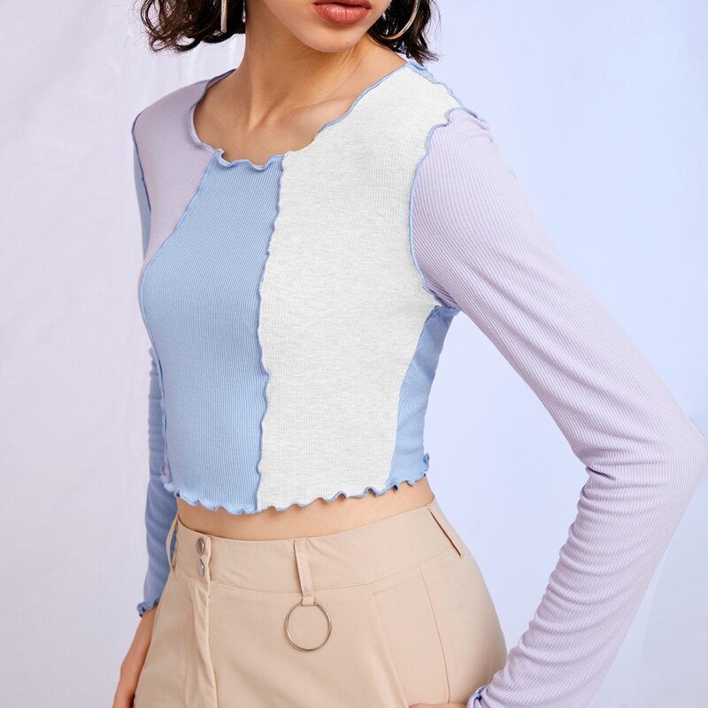 

Contrast Piping Colorblock Crop Tee, Multicolor