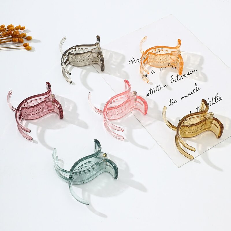 

2pcs Random Clear Hair Claw, Multicolor