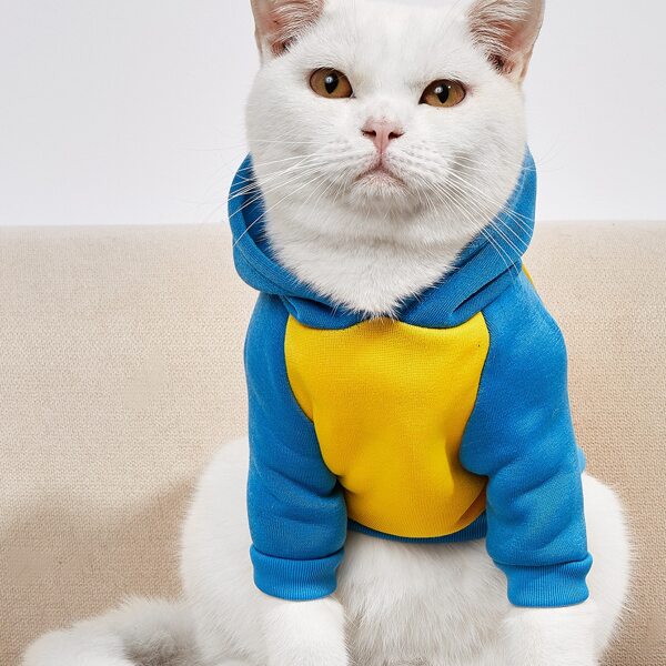 

Cartoon Shark Pet Hoodie, Yellow