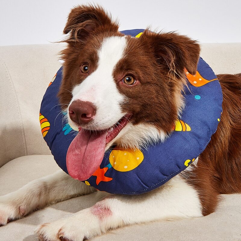 

Cartoon Graphic Pet Elizabeth Collar, Navy blue