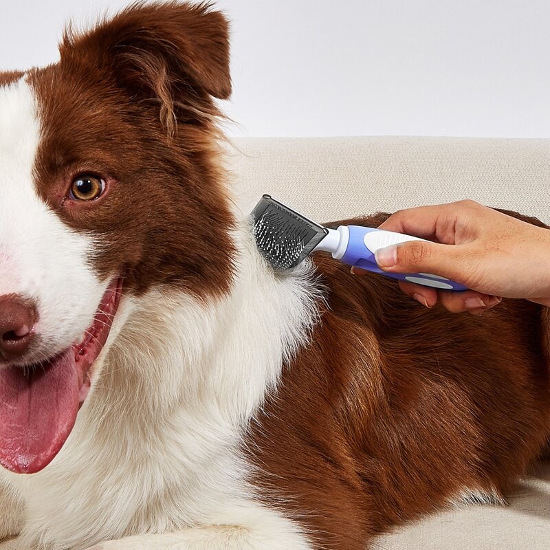 

Stainless Steel Pet Hair Brush, Blue