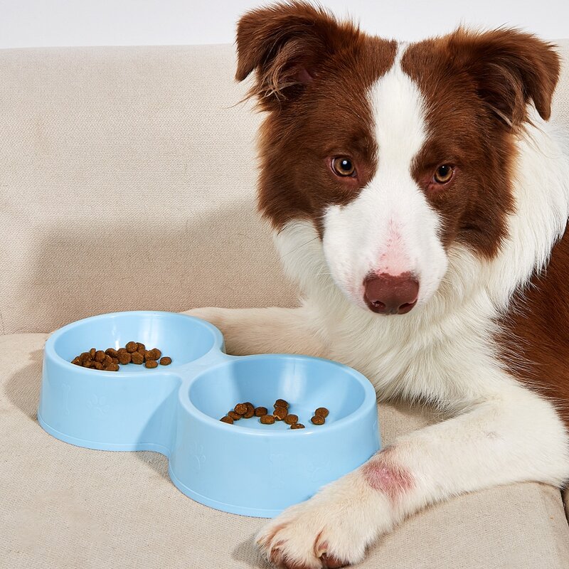 

1pc Solid Double Pet Bowl, Blue