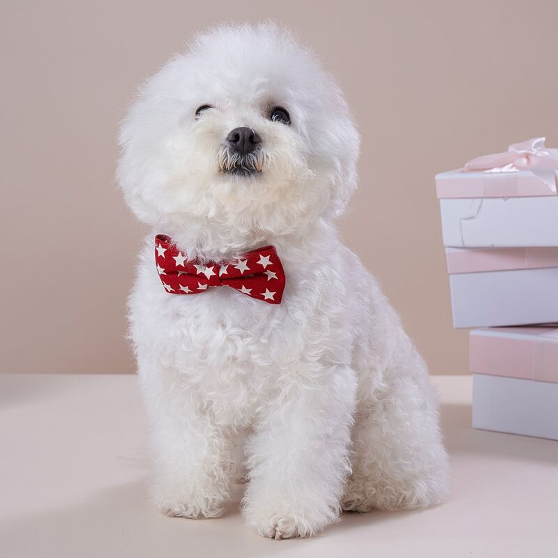 

Star Pattern Bow Decor Pet Collar, Red