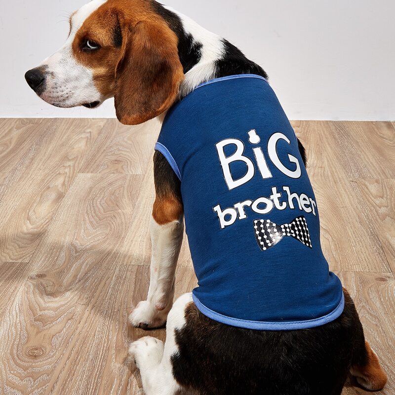 

Letter Graphic Pet Tank, Navy blue