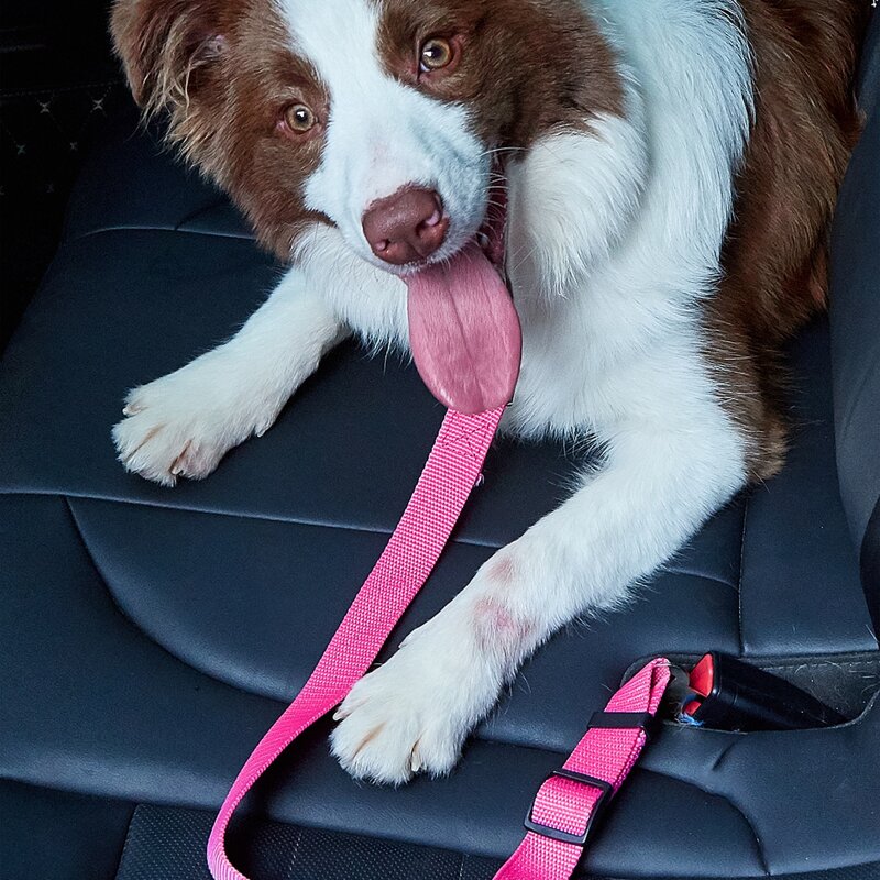 

Pet Car Seat Belt, Pink