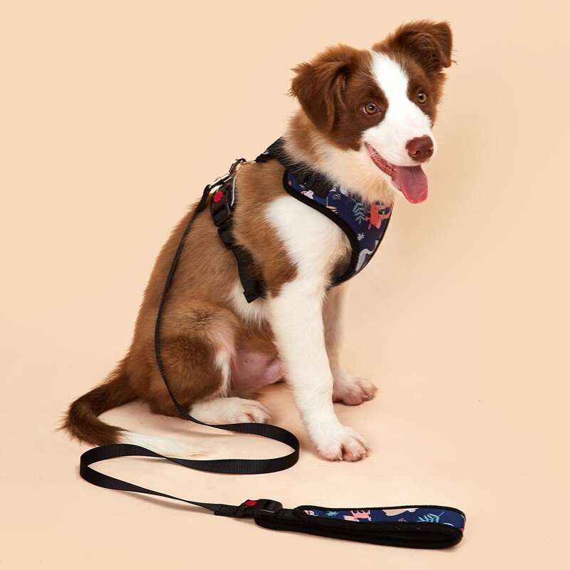 

1pc Cartoon Graphic Pet Harness & 1pc Pet Leash, Multicolor