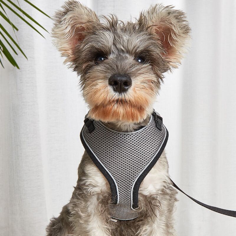 

Contrast Binding Pet Harness, Grey