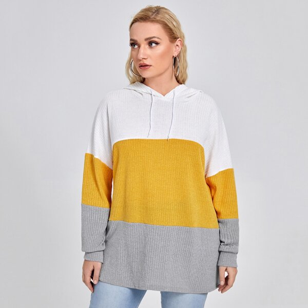 

Plus Cut And Sew Drawstring Hoodie, Multicolor
