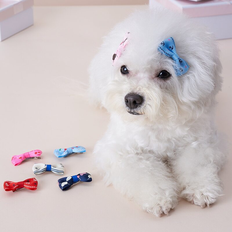 

3pcs Random Pattern Pet Hair Clip, Multicolor