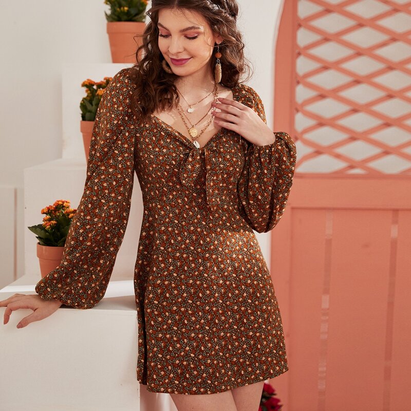 

Ditsy Floral Print Tie Front Lantern Sleeve Dress, Multicolor