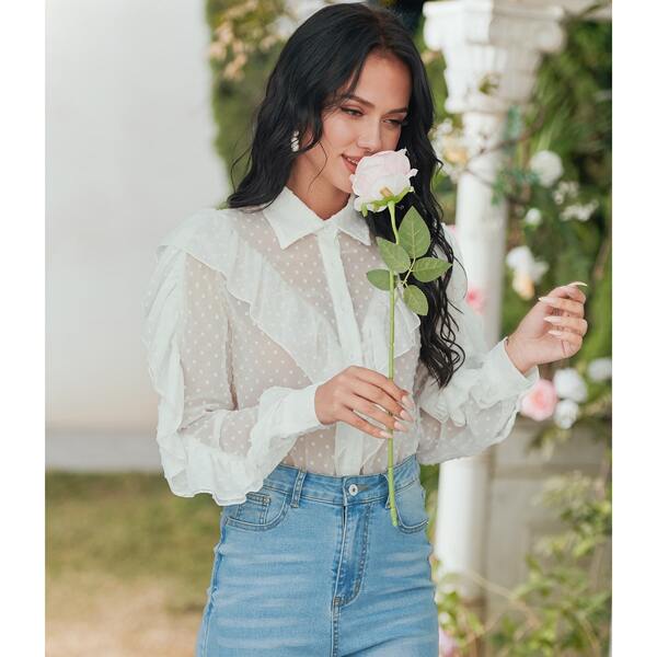 

Swiss Dot Ruffle Trim Sheer Chiffon Blouse, White