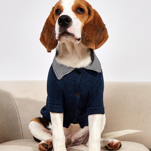 

Badge Print Pet Coat, Navy blue
