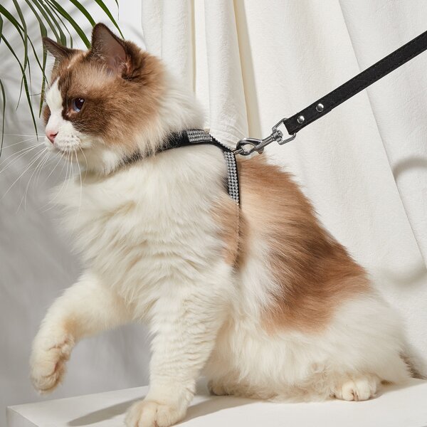 

1pc Rhinestone Decor Pet Harness & 1pc Pet Leash, Silver