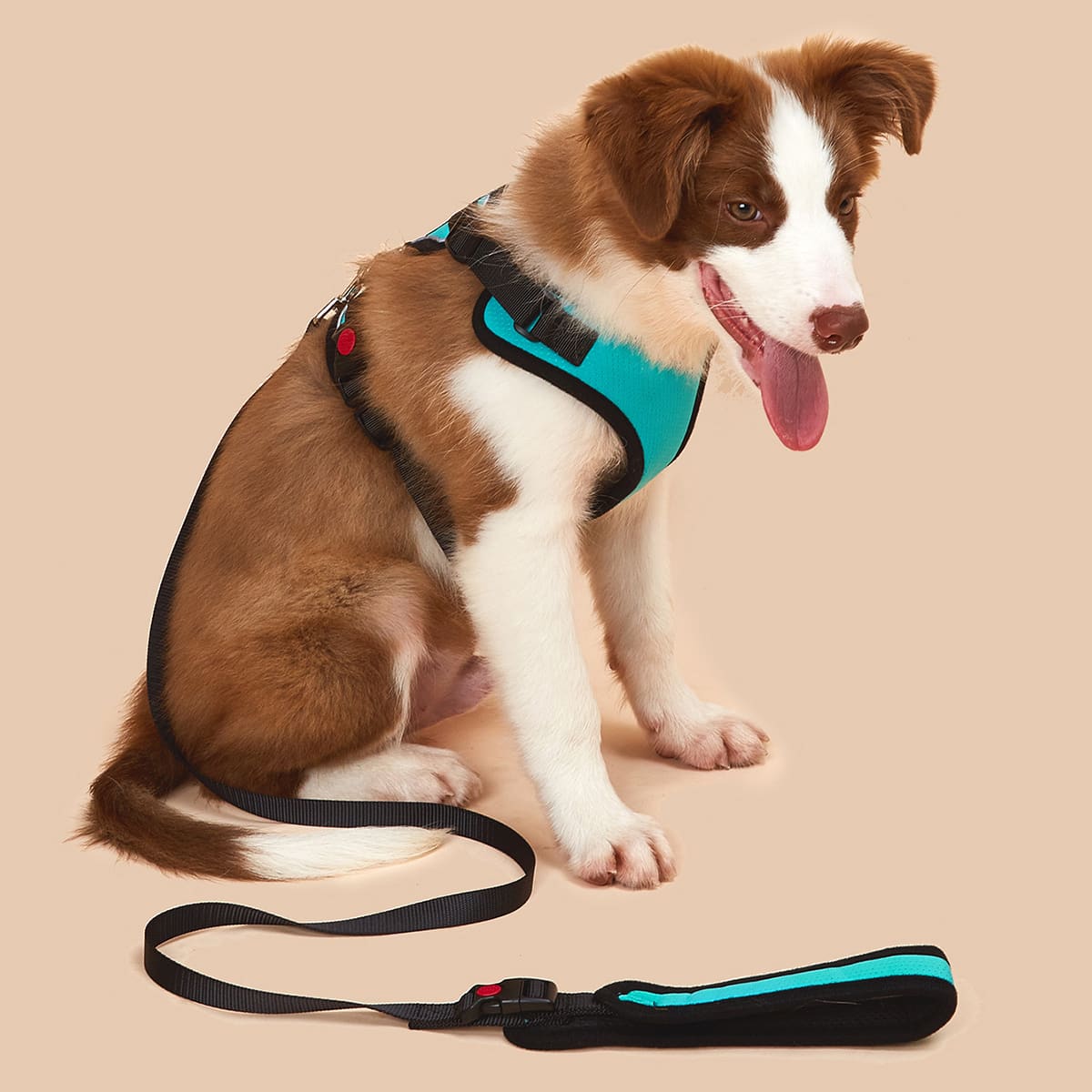 

1pc Plain Pet Leash & 1pc Pet Harness, Cadet blue