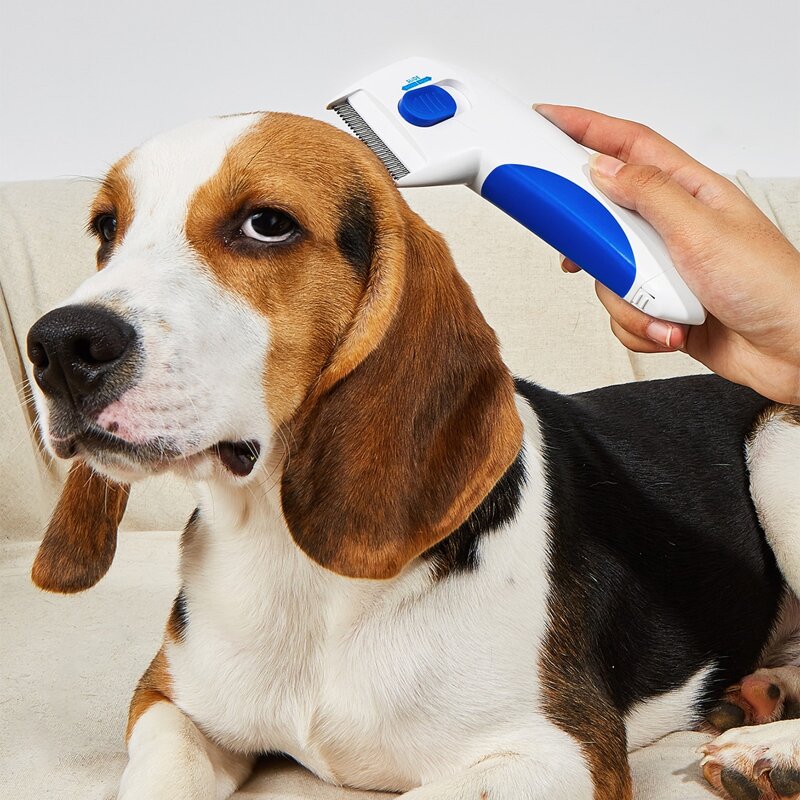 

1pc Electric Pet Hair Cleaning Tool, Blue
