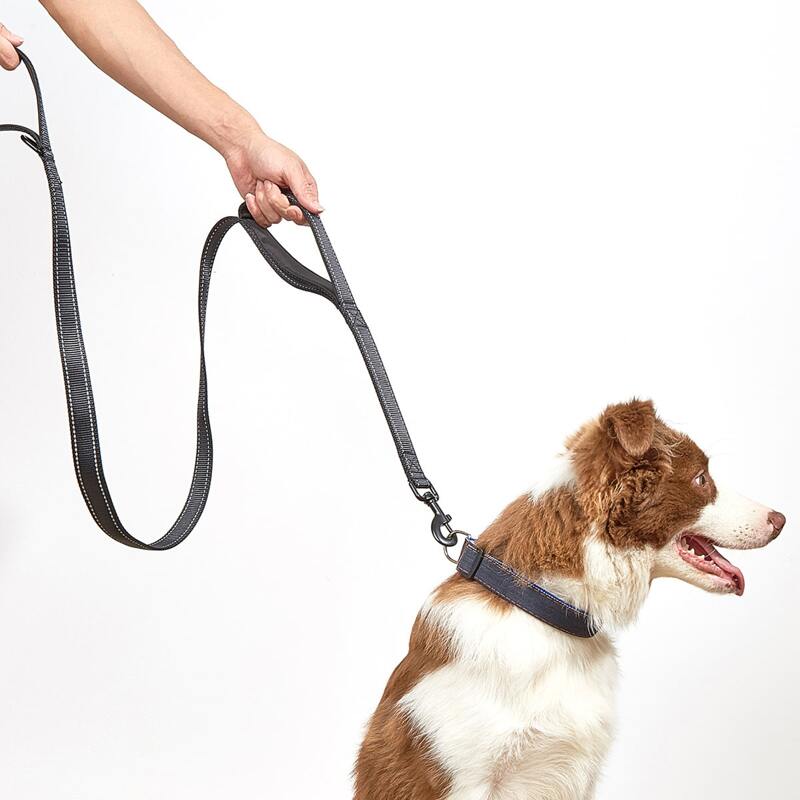 

1pc Nylon Pet Leash, Black