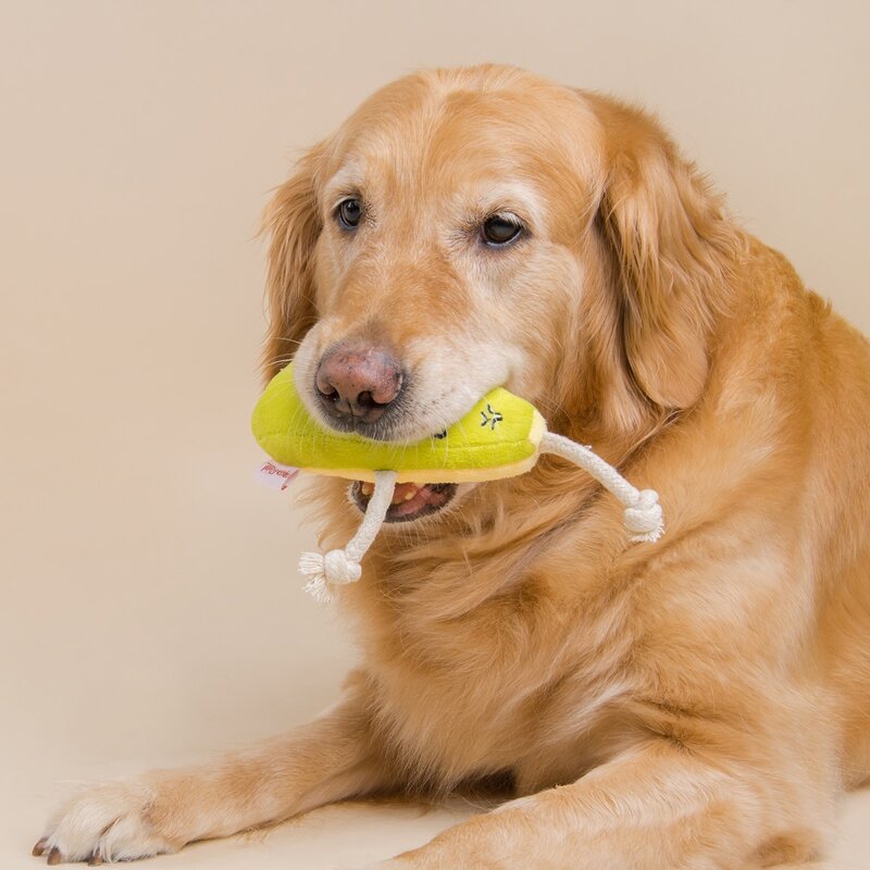 

1pc Cartoon Pet Sound Toy, Yellow