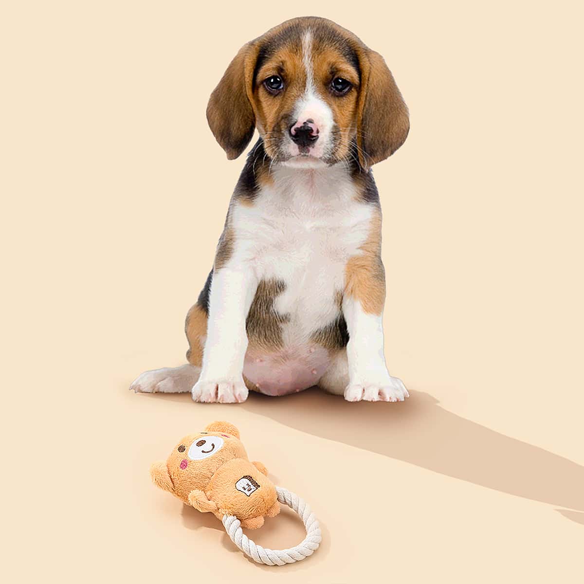 

Cartoon Plush Bear Pet Sound Toy, Multicolor