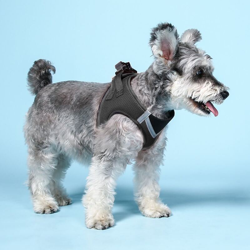 

1pc Minimalist Solid Pet Harness, Black