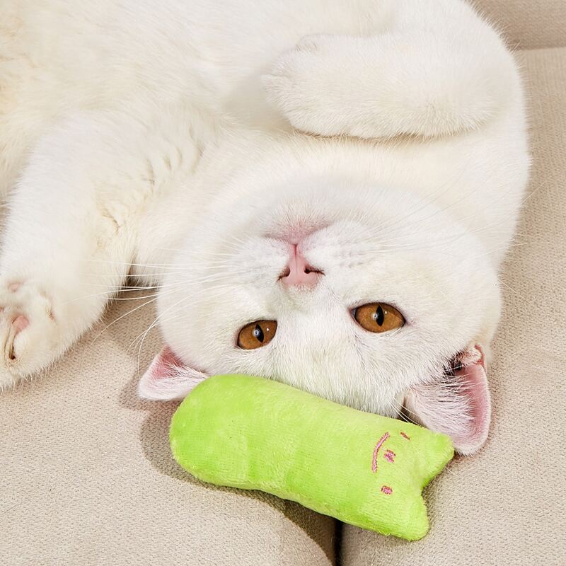 

1pc Random Color Cartoon Pet Plush Toy, Multicolor