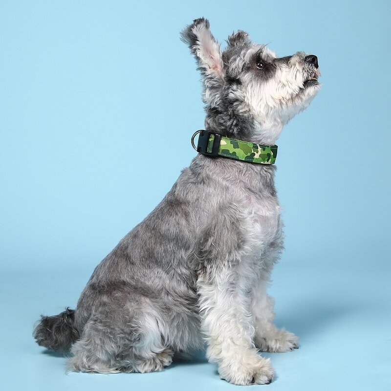 

Camouflage Pattern Pet Collar, Multicolor