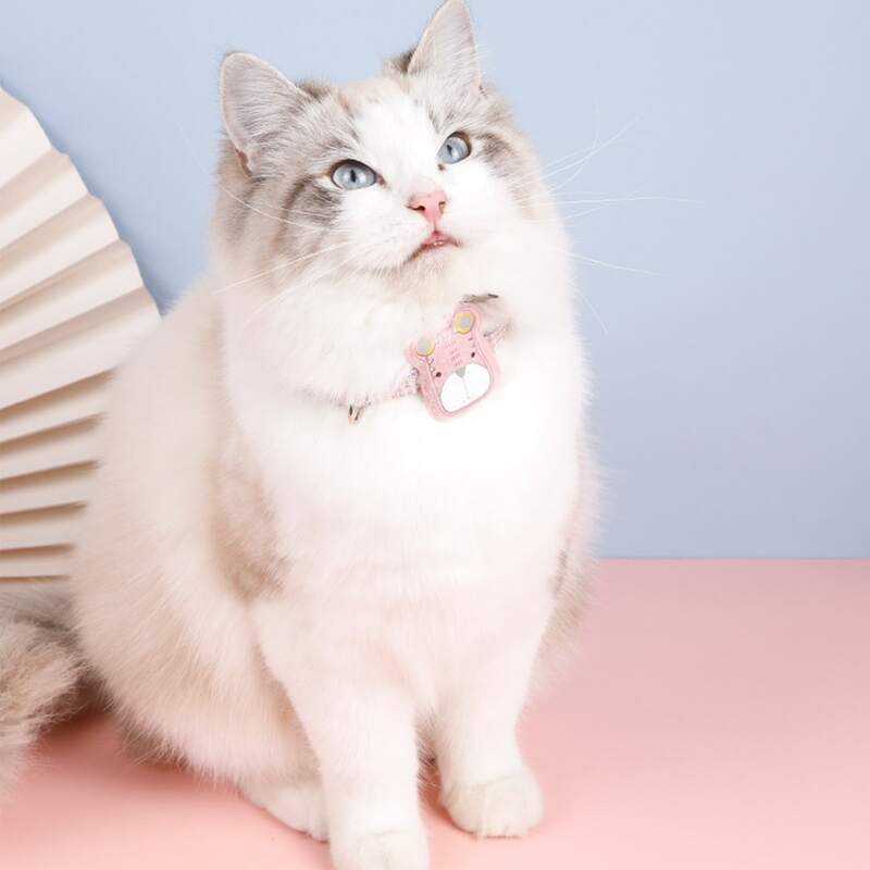 

Cartoon Bear Detail Pet Collar, Baby pink