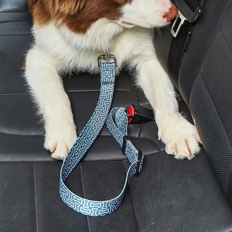 

Bone Print Pet Car Seat Belt, Blue