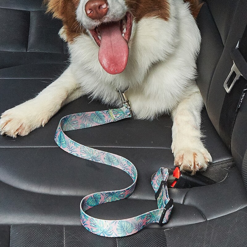 

Leaf Print Pet Car Seat Belt, Multicolor