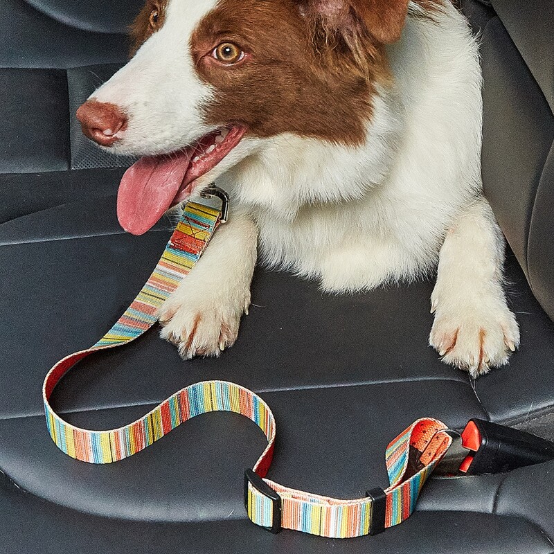 

Striped Pattern Pet Car Seat Belt, Multicolor