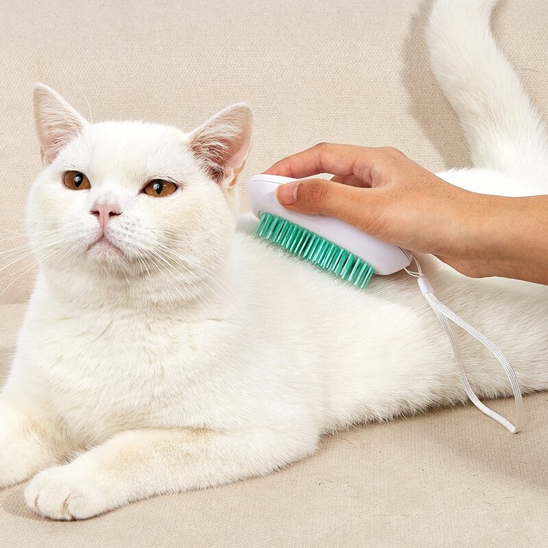 

1pc Random Color Pet Massage Brush, Multicolor