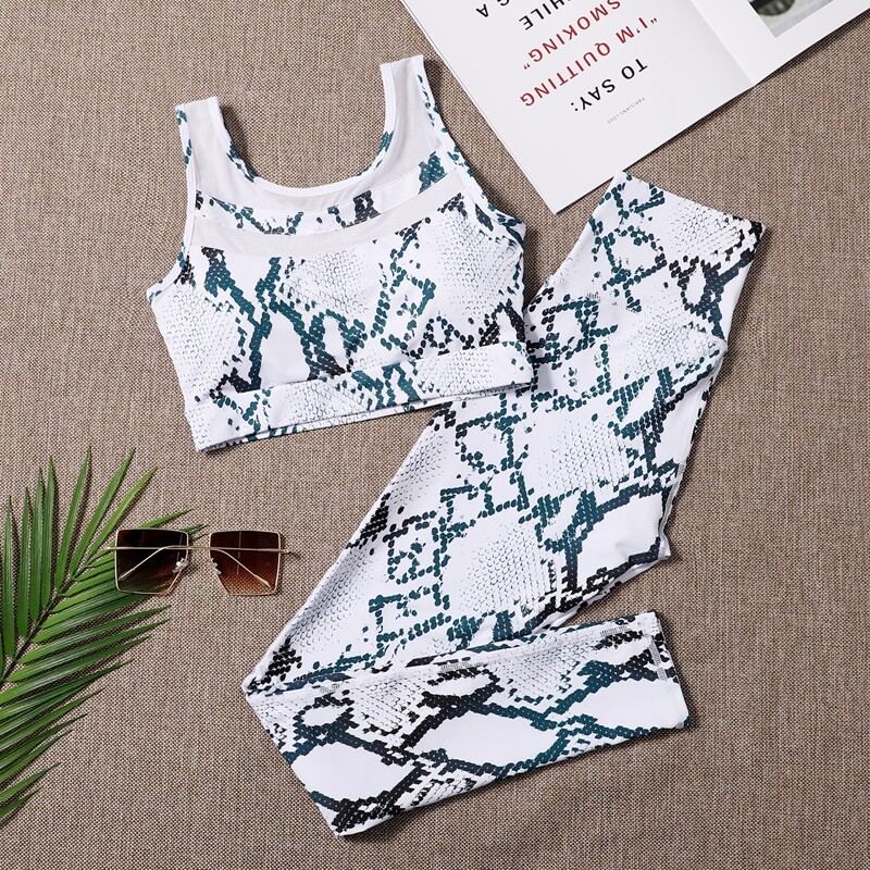 

Snakeskin Mesh Panel Sports Set, Multicolor