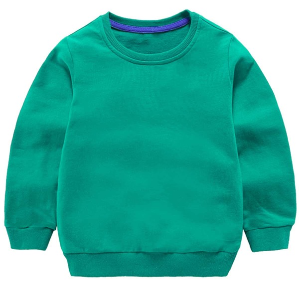 

Toddler Boys Round Neck Solid Sweatshirt, Green