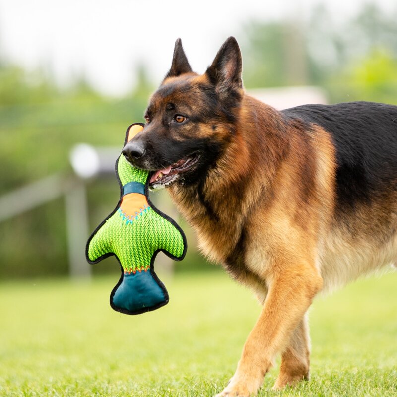 

Cartoon Shaped Pet Sound Toy, Green