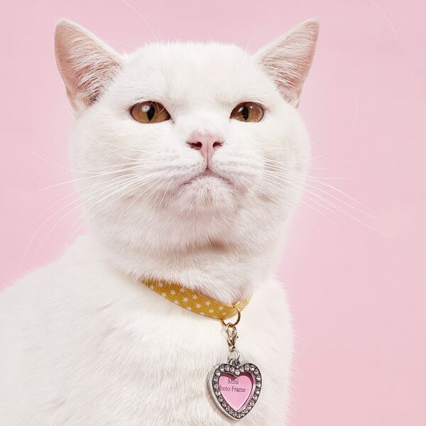 

Rhinestone Decor Heart Shaped Pet ID Tag, Pink