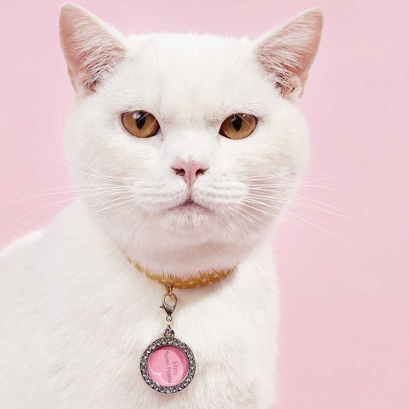 

Rhinestone Decor Pet ID Tag, Pink