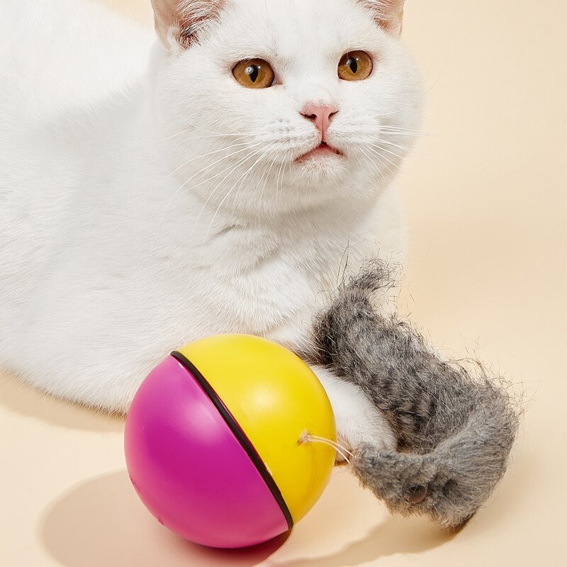 

Electric Beaver Ball Random Color Cat Teaser Toy, Multicolor