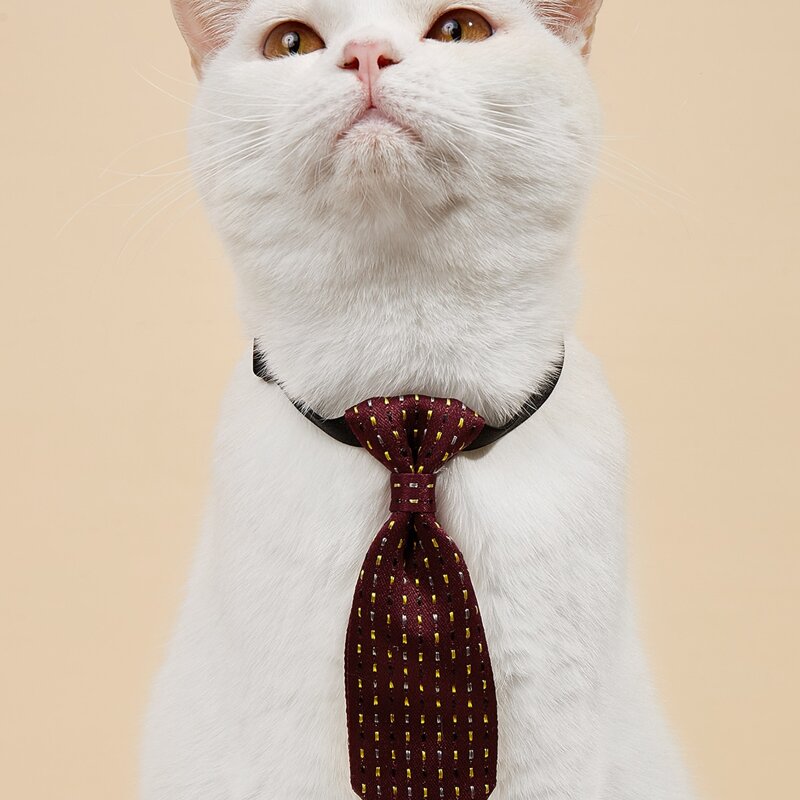 

Stitch Detail Pet Tie, Burgundy