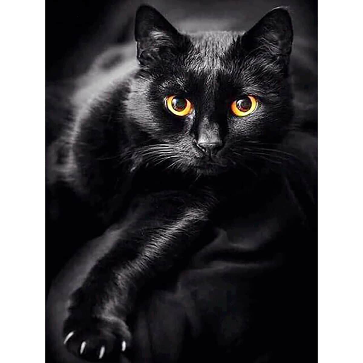 

Cat Pattern Diamond Painting Without Frame, Black