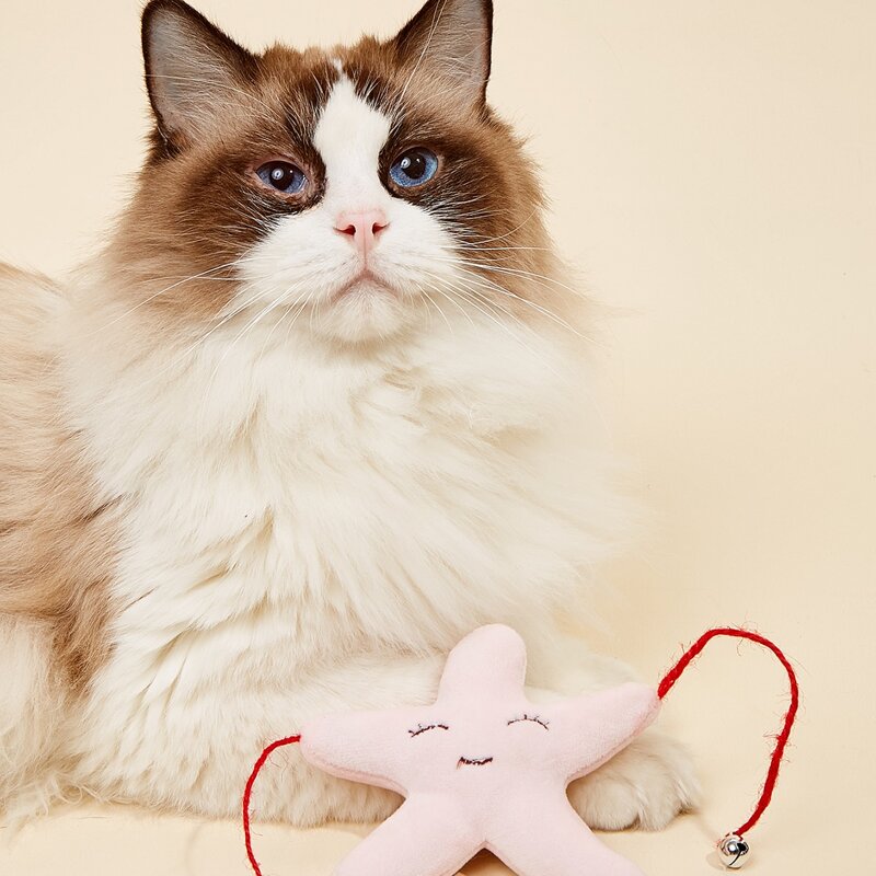 

Starfish Shaped Pet Plush Toy, Baby pink