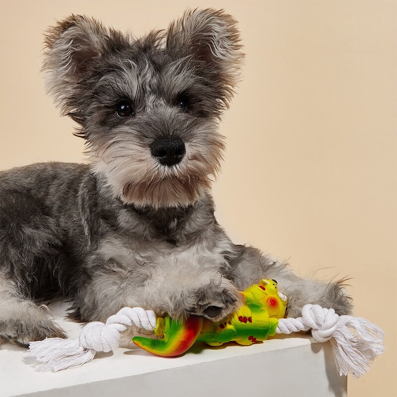 

Cartoon Shaped Pet Sound Toy, Multicolor