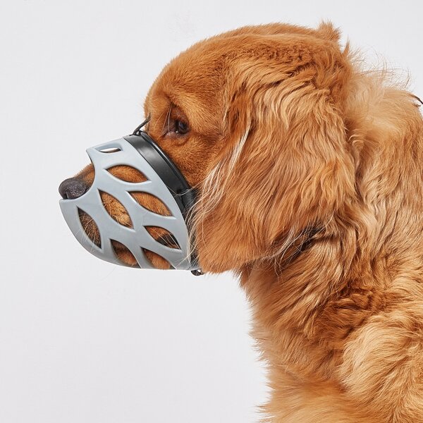 

Hollow Out Pet Muzzle, Grey